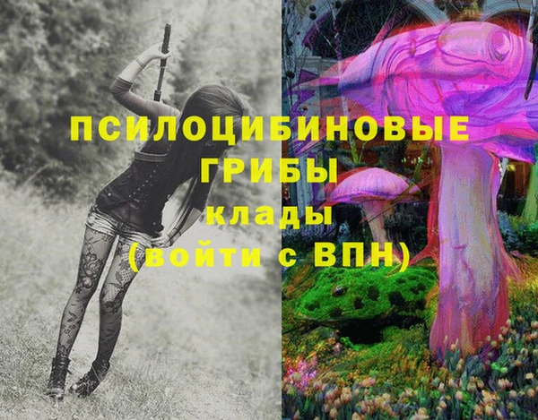 а пвп мука Алзамай
