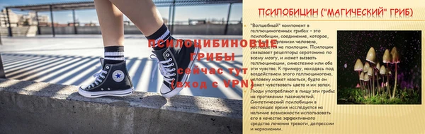 а пвп мука Алзамай
