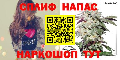 ГАЛЛЮЦИНОГЕННЫЕ ГРИБЫ Уссурийск