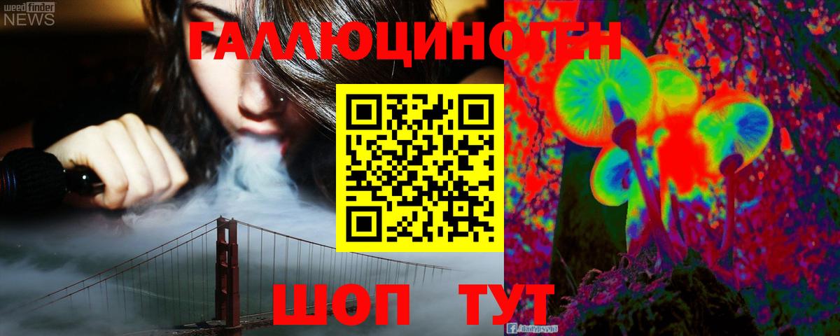 Сыктывкар  Псилоцибиновые грибы Psilocybe  Вход с VPN  Псилоцибиновые грибы прущие грибы 