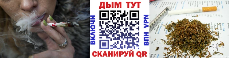 цена наркотик Сыктывкар Бошки марихуана Ganja